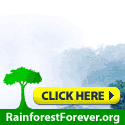 Rainforest Forever